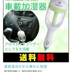 〈未使用〉車載 加湿器 シガーソケット 差し挿むだけ ミニ 角度調整 空焚き防止 超音波式 アロマディフューザーの画像