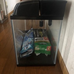 ⑥ 60cm水槽の画像