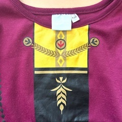 アナ雪トレーナー110サイズの画像