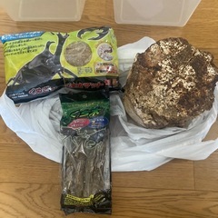 昆虫ケース（大）×2 その他備品の画像