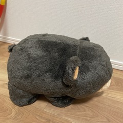 まるくるポーラ　クマ　ぬいぐるみの画像