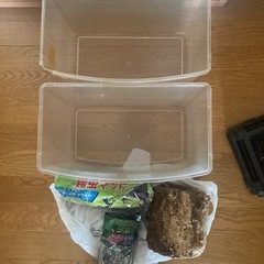 昆虫ケース（大）×2 その他備品の画像