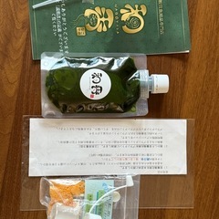 すぐに使える生き餌セット✦メダカの餌などに!ゾウリムシ入り緑水&和香&栄養剤の画像