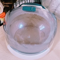 コロルペットキャリーケースの画像