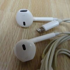 (MM-646)Apple 純正 有線イヤホン 2個セットの画像