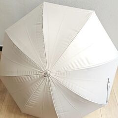 日傘の画像
