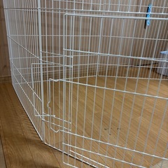 うさぎさん　ゲージサークルの画像