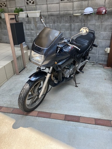 ゼルビス250