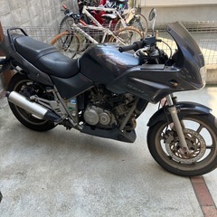 ゼルビス250の画像