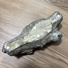 ニコアンド　流木ポットカバー　インテリア雑貨の画像
