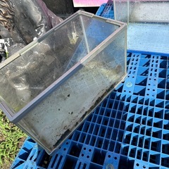 ６０㌢水槽類
差し上げます０円の画像