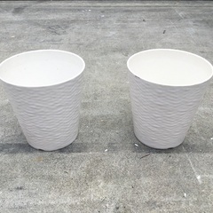 12個【中古】プラスチック植木鉢(白／でこぼこﾃﾞｻﾞｲﾝ) 約8号　販売中！の画像