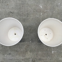 12個【中古】プラスチック植木鉢(白／でこぼこﾃﾞｻﾞｲﾝ) 約8号　販売中！の画像