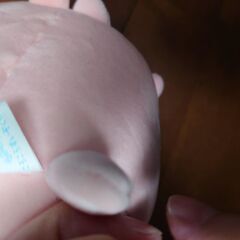 ウーパールーパーのぬいぐるみの画像