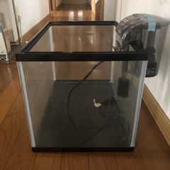  ⑦ 45cm水槽の画像