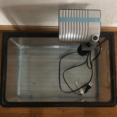  8️⃣ 45cm水槽の画像