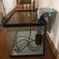  8️⃣ 45cm水槽の画像