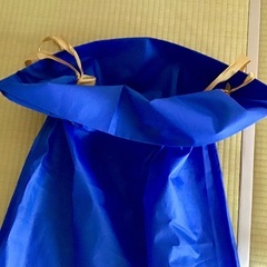 プレゼント用大袋の画像