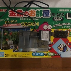  9️⃣ 40cm水槽の画像