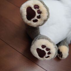 マヌルネコのぬいぐるみの画像