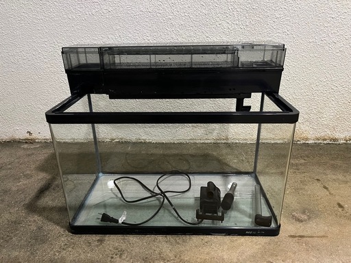 水槽 60cm ワイド他 楽天市場】水槽 60 ワイドの通販
