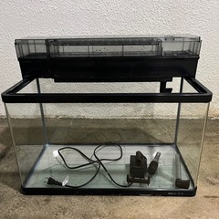水槽 60cm ワイド他の画像