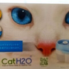 猫　給水機の画像