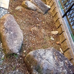 庭石の画像