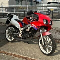 【画像更新】NS-1 後期型　実動　　現在ネイキッド仕様