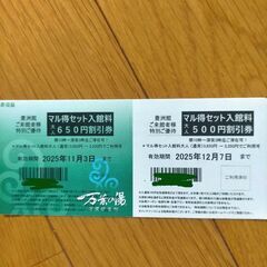 東京豊洲 万葉倶楽部・特別優待券3枚セットの画像