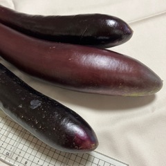 【取引完了】秋茄子（３本）の画像
