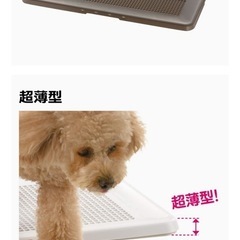 ペット用薄型トイレの画像