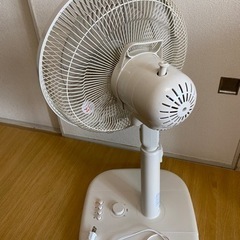 3ヶ月しか使ってない扇風機差し上げますの画像