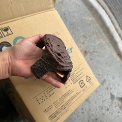 【未使用】隠れ家　亀　爬虫類　メダカなどの画像