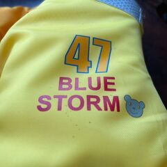 ★美品! 桜マーク入り! BLUE STORM KIDS ブルーストーム TK-55B型 小児用-M 小型船舶用 救命胴衣 ライフジャケット 体重範囲/15kg～40kg　リサイクルショップ札幌　買取本舗　西野店の画像
