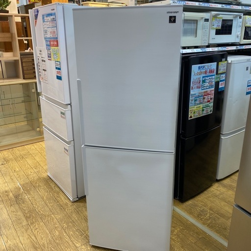 11/11値下げしました！?ホワイトカラー?SHARP 280L冷蔵庫 2021年製 SJ-PD28G 右開き 2ドア プラズマクラス