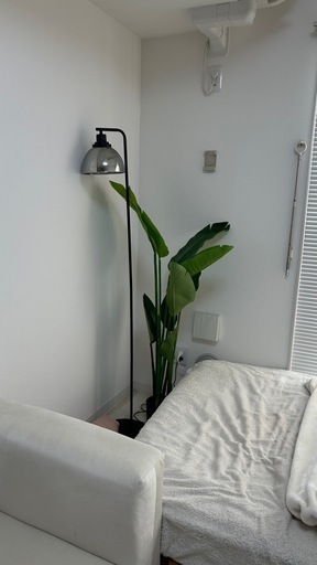 好きなだけ持って行ってOK！1部屋分の家具