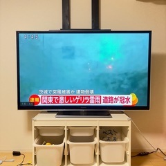 Panasonic テレビ65インチの画像
