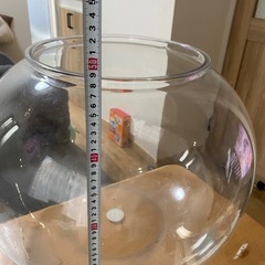 金魚鉢の画像