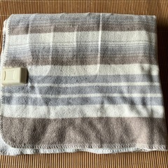９月中にお渡し！電気しき毛布の画像