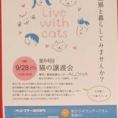 9月28日福山で保護猫の譲渡会