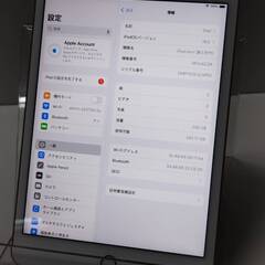 【良品】iPad mini 第5世代/Wi-Fiモデル/A2133/256GB〈MUU62J/A〉の画像