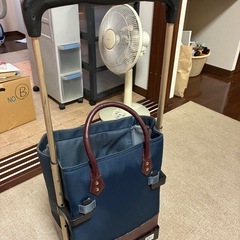 買い物キャリーの画像