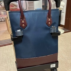 買い物キャリーの画像