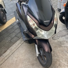 pcx 　の画像