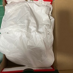 スニーカー ナイキの画像