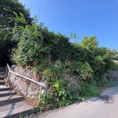 草刈りや木の伐採