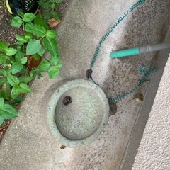 石うす、他の画像