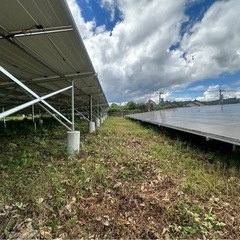太陽光発電所メンテナンス作業の画像