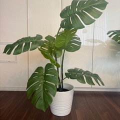 フェイクグリーン　IKEAの画像